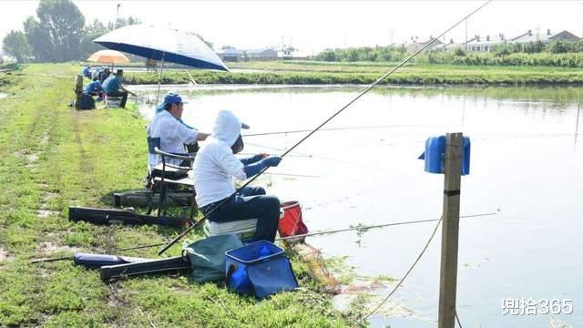 四川省|四川云南两地人的垂钓盛宴，有人一天钓获上百斤，网友：适当索取