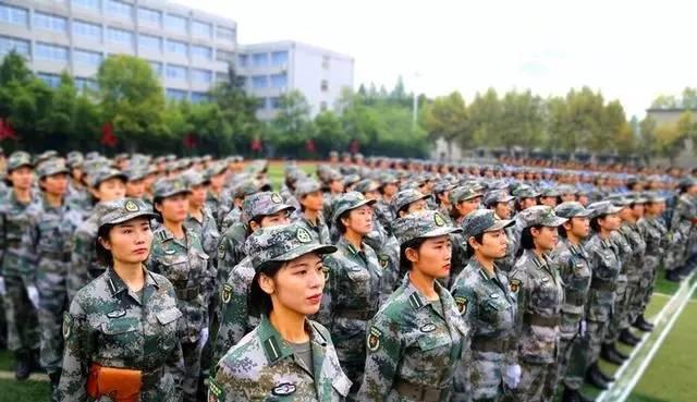 高秀花说育儿|铁饭碗为何不香了？2021年军校招生遇冷，大幅降分之后仍招不满