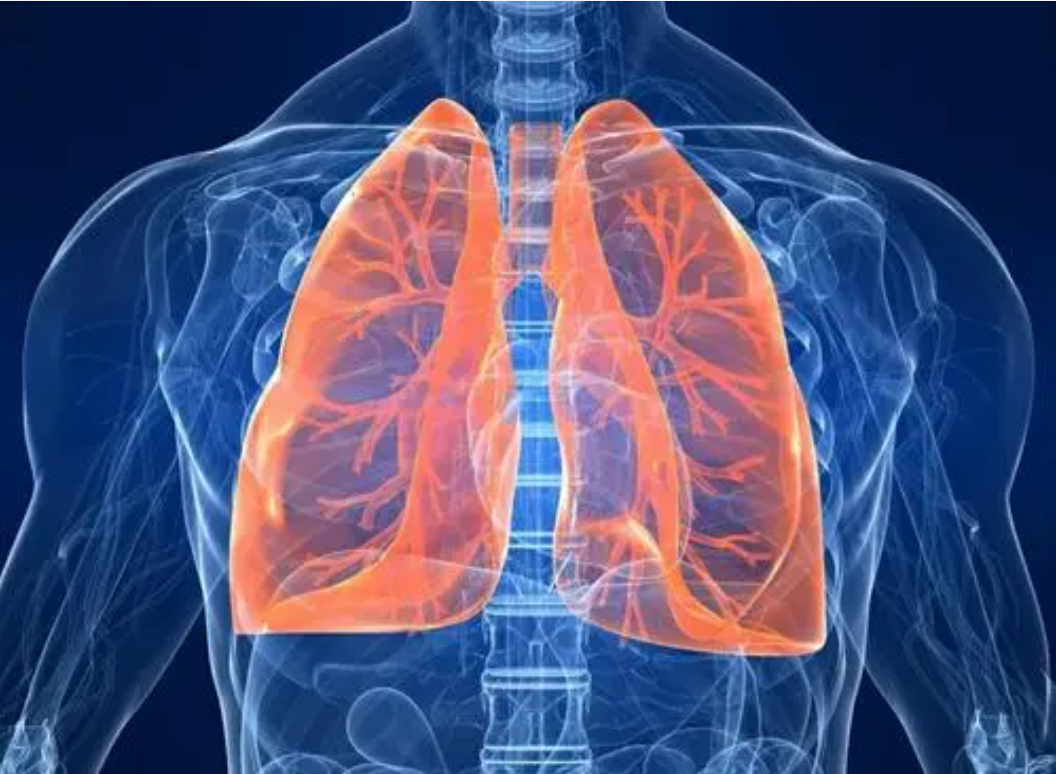 39健康网|上厕所出现3个信号，肺或已“烂如蜂窝”，若占一个，需好好养肺