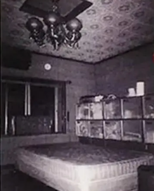 恐龙蛋化石 案情回顾:日本37岁男子囚禁9岁少女近10年,施暴时用电击枪