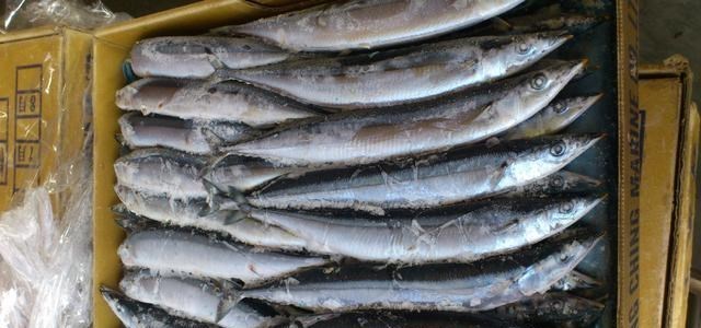 猛犸象 冷冻第一人：富豪贝德福德，原定4年前就该醒来，结果怎么样了？