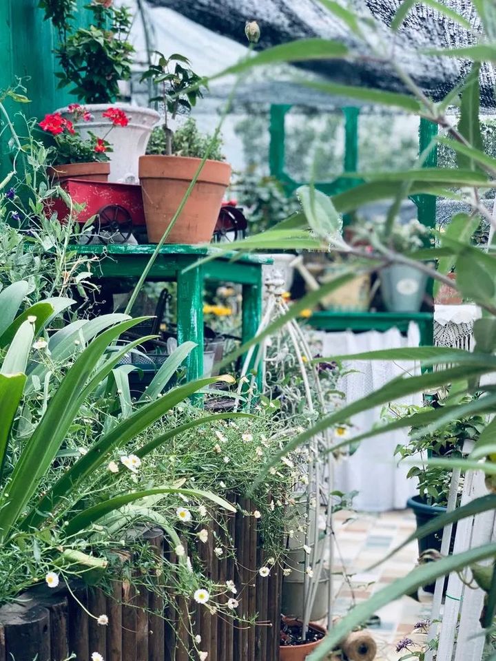 |?买房送了个95㎡露台，就利用自己拙劣的设计，打造一个楼顶花园吧