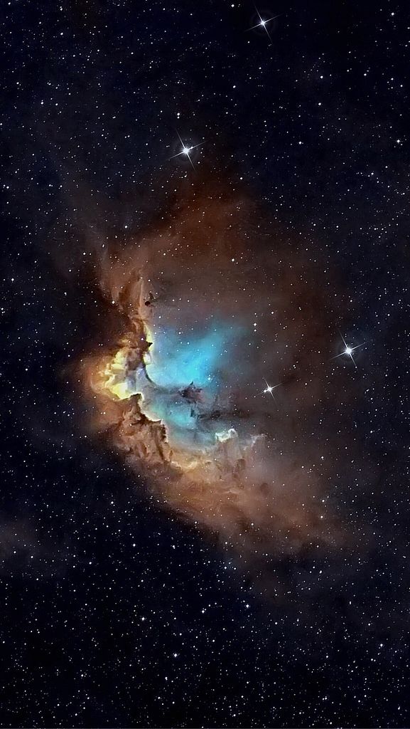 饵料|老钓友四季钓罗非鱼经验总结