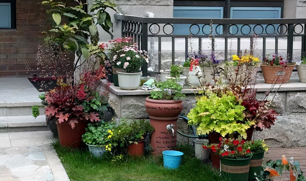 买一楼房子,同事骂我脑子被门“夹”了,完工后天天来找我喝茶