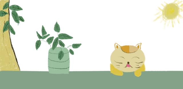 超空间 码上阅读丨夏夜泛舟之《超空间》