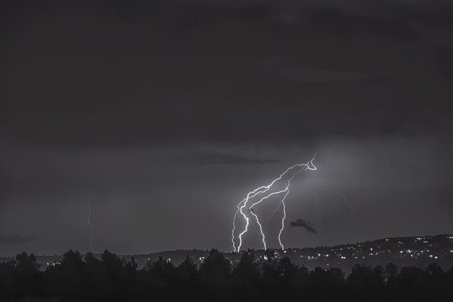 长颈鹿 雷电瞬间劈死550只羊！为什么专电陆地动物，而海里的鱼却没事？