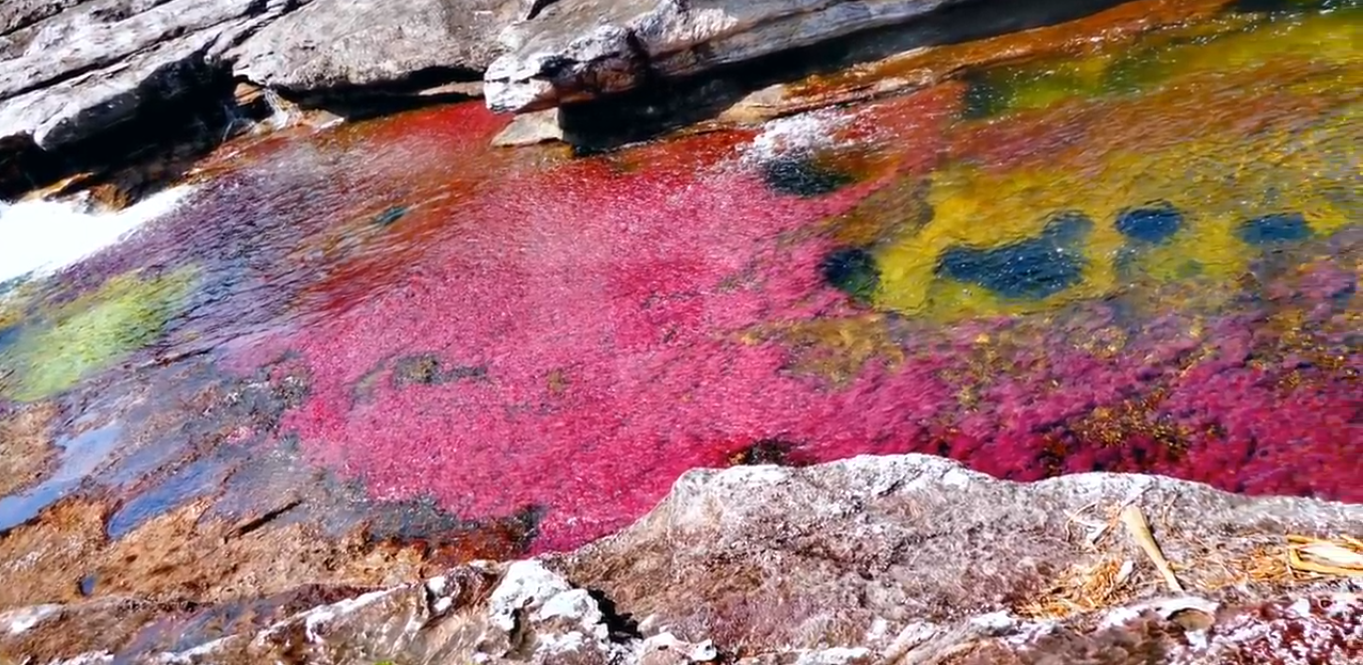 蛋白质 地球上最古老的水已经隐藏了20亿年