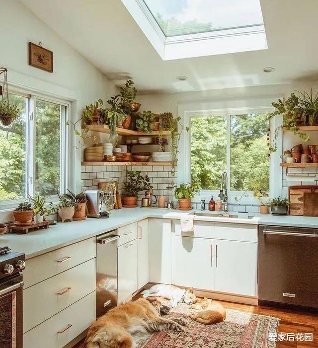 厨房面积太小显拥挤?学学德国女士的设计,小厨房也能变得很宽敞