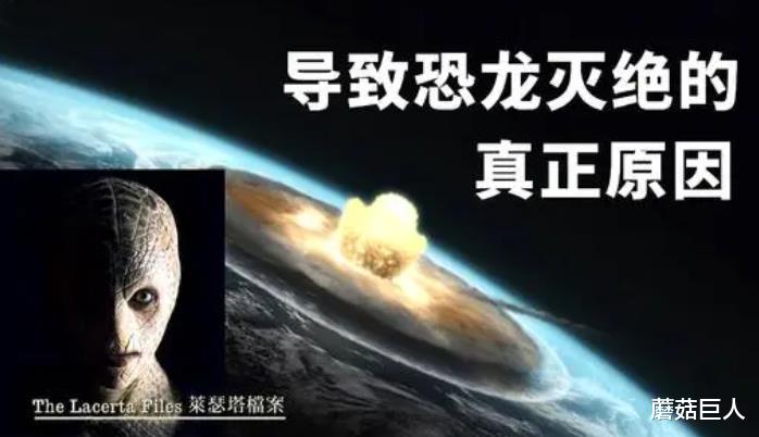 类人族与爬虫族史前大战,是神话或远古秘密,烧脑的秘密