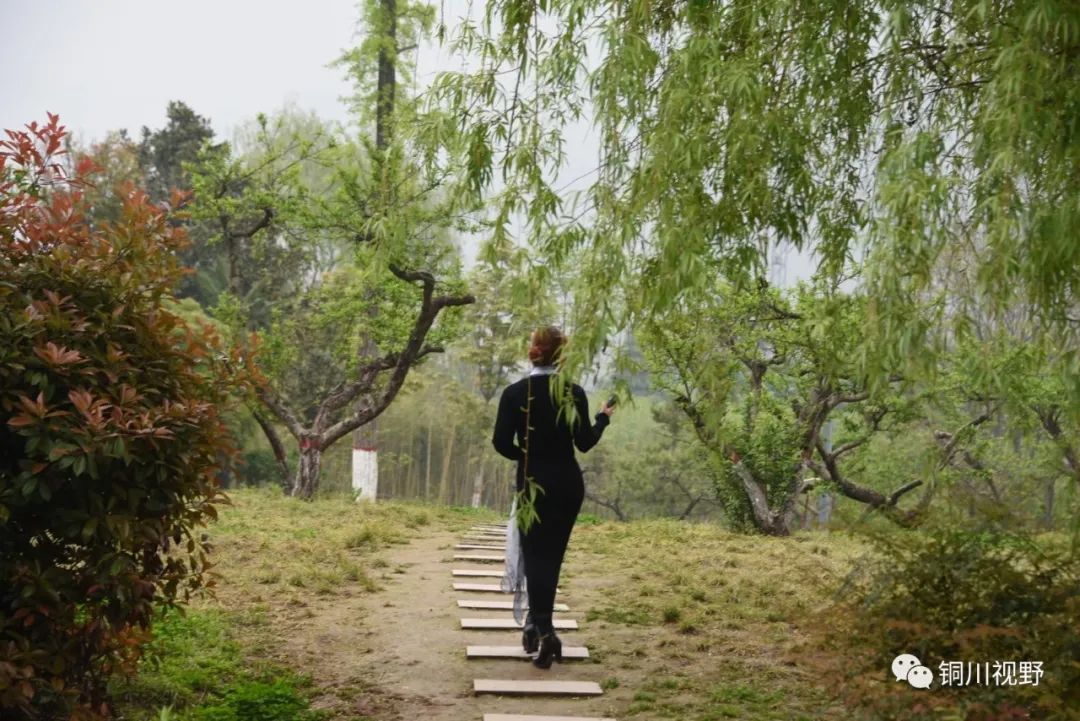 铜川周春辉 五一假期，我们一起爬山，用镜头记录美丽的大自然