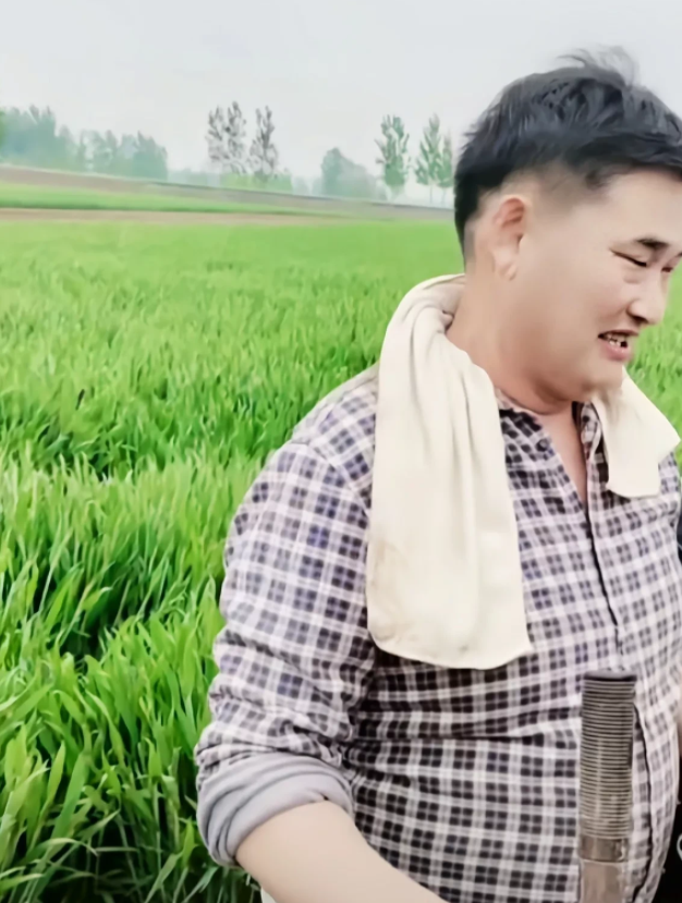 朱之文|大衣哥在麦田锄地，被网友揭穿：麦田还能用锄头除草？