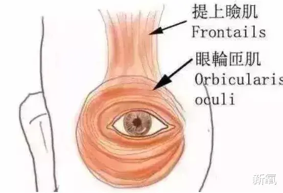 翁帆|等一下！周冬雨被张艺谋选中之前眼睛这么大的吗？