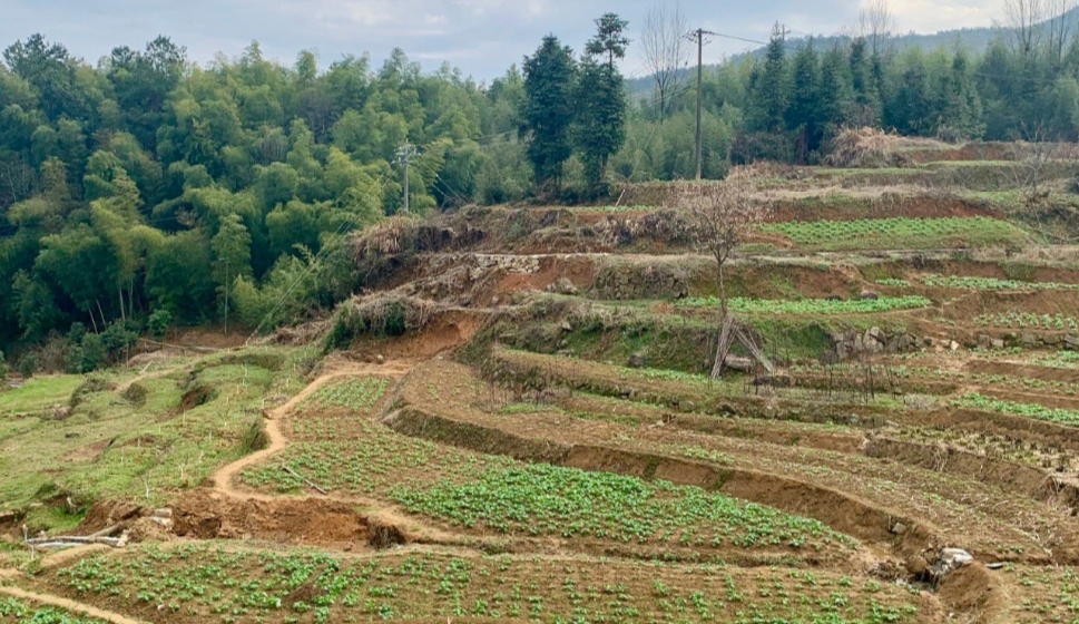 向往5|《向往5》拍摄地被网友剧透，得知在哪时：这下省事多了！