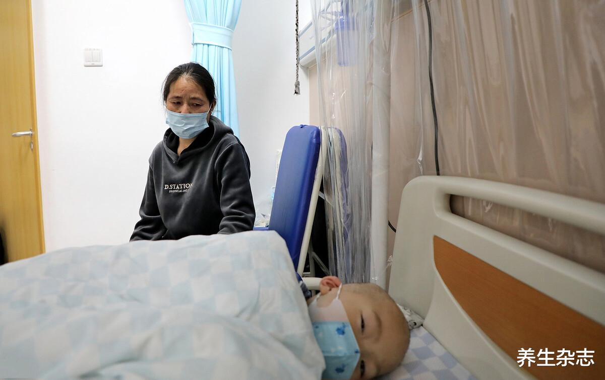 脾胃|6岁男孩脾胃似80老翁,医生:不想脾胃坏死,3种‘家常菜’尽早下桌
