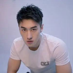 中华英雄|《中华英雄》遭遇再次翻拍，胡兵演华英雄，网友：造型帅过郑伊健