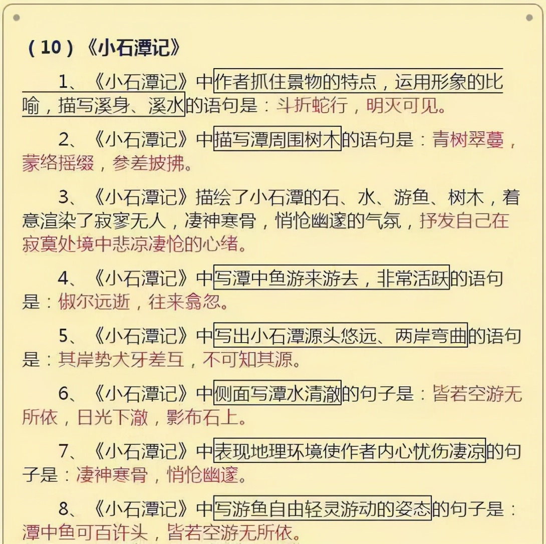 中小学|初中语文：知识点+古文总结，都给我看！