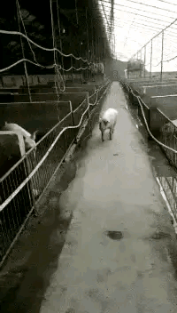 广东省|“地铁上看见心仪的女生，但她的职业很特殊！”你敢上去搭讪吗？