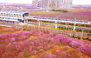 舜网 济南轨交迎来最美季节