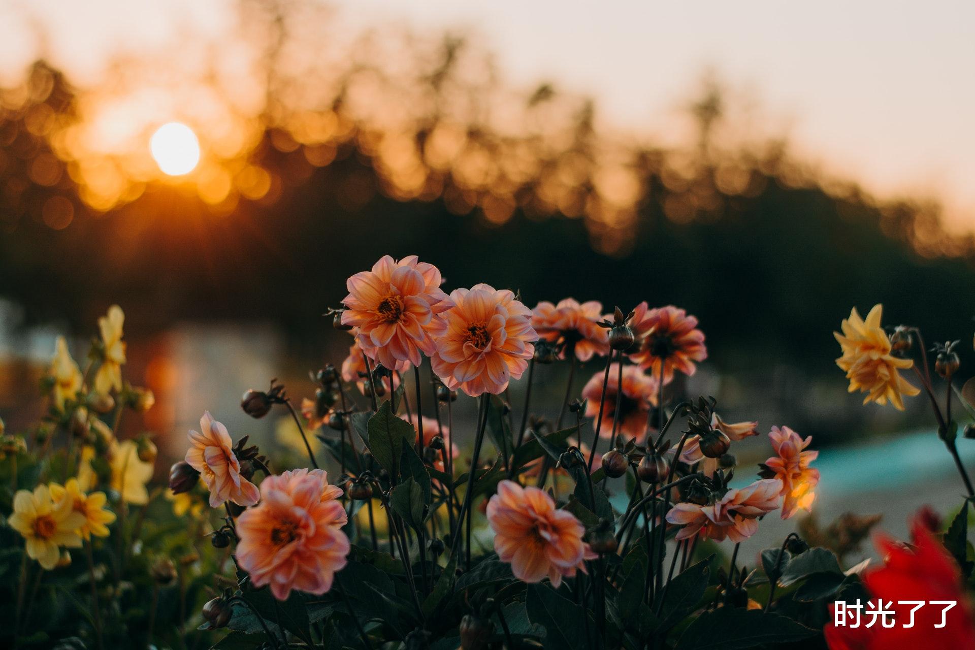 时光了了|人过四十，闲事莫管，闲话少说