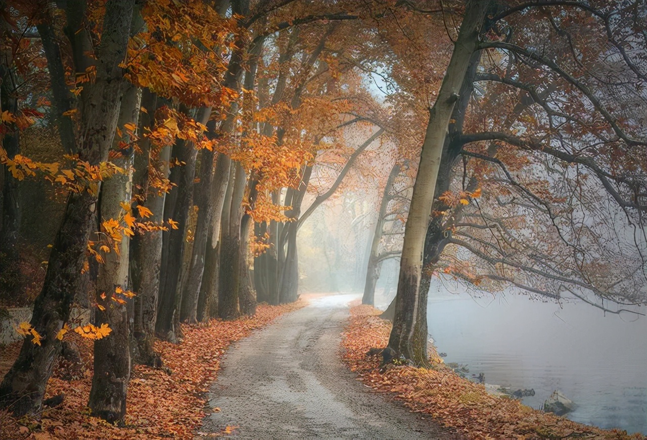 情感说心事|人这一生，什么最重要？心态最重要！
