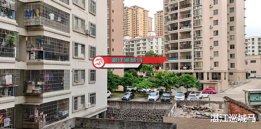 湛江巡城马 居民：你有养狗的权利，但你还有不让它扰民的义务！