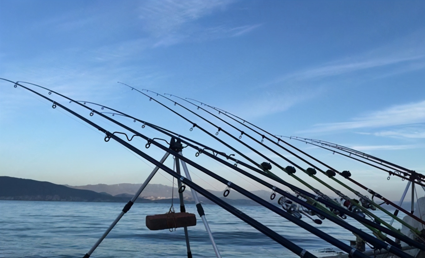 饵料|鱼突然停口是什么原因？用好对策别白费工夫！——盛世三渔