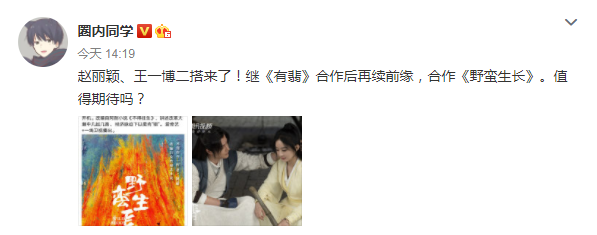 赵丽颖|?《有翡》之后还将二度合作？赵丽颖、王一博新戏被曝