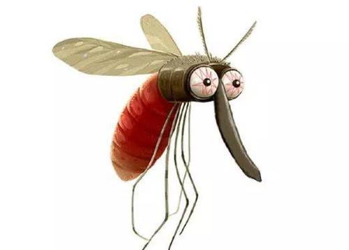 舜网 为什么一关灯就听到蚊子叫,开灯就听不到?教你一招安睡一整晚