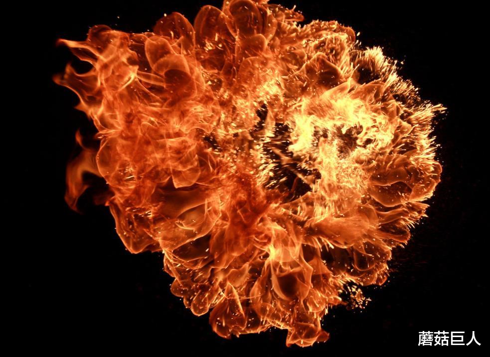  掌握生死之力的异星生物，现场不忍目睹，这本是人类的远古技能