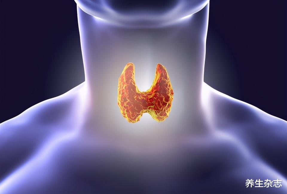 大蒜|甲状腺的“保护伞”被发现，不是大蒜，若你爱吃，结节一天天消散