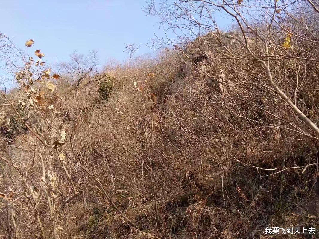 我要飞到天上去 一个农民作家的困惑,想创业却无从下手