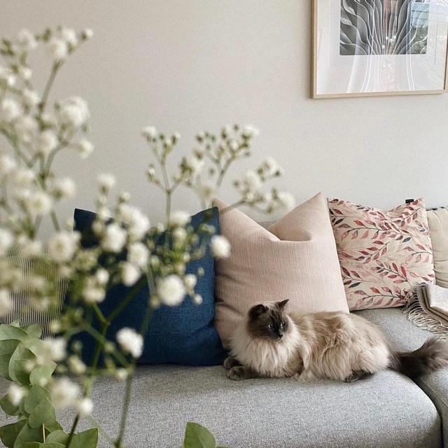 53岁阿姨晒郊区自建房火了：门前庭院，绿树成荫，全村最特别！