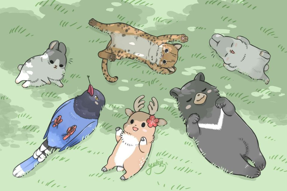 赵名辉塔罗 赵名辉塔罗牌测试:我怎么能让自己漂亮起来?