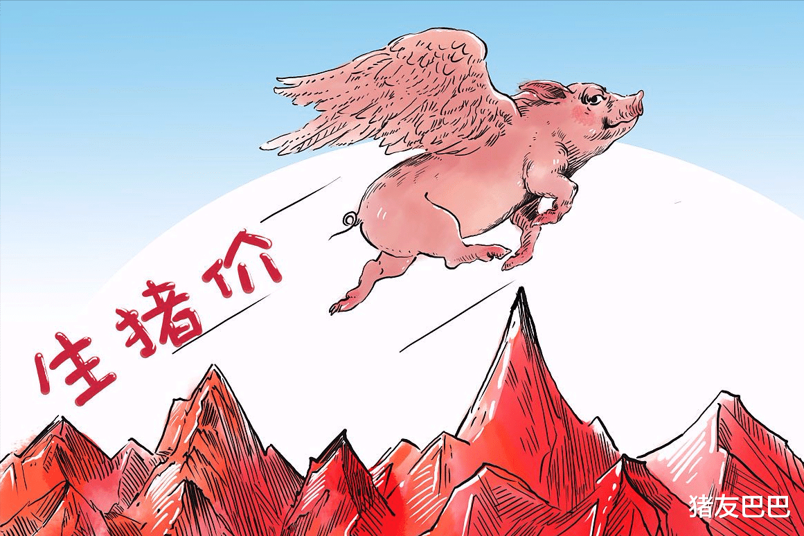 生猪价格 猪价“闪崩”行情下跌加剧，五一将至，猪价要涨翻天？3个坏消息