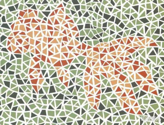 初语吾儿|家有萌娃,要给孩子看得“6张图”孩子辨色缺陷,越早发现越好