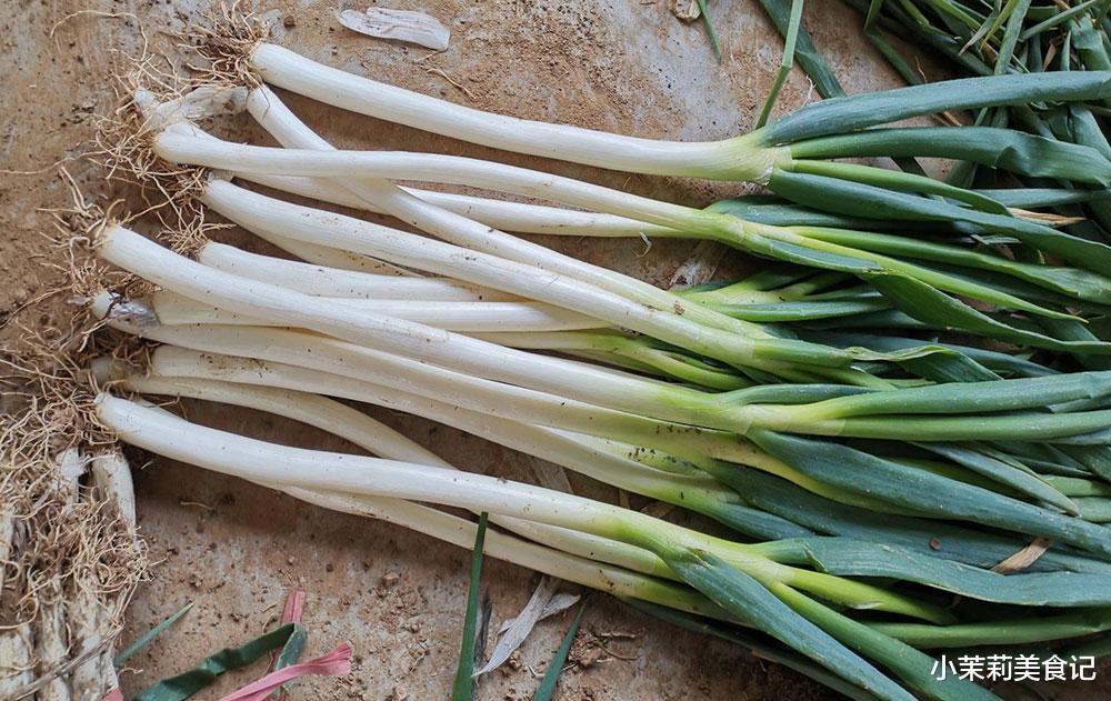 血糖|冬天保存大葱，我有办法，用矿泉水瓶就搞定，每天都吃新鲜的大葱