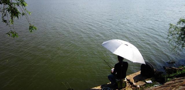 大沽河|山东大沽河水面冰封，大量钓鱼人开启冰钓模式，场面壮观鱼获很少