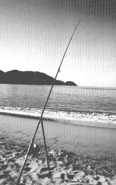 |十一种投钓钓具让你成为海钓高手【 日本专业海钓入门投钓书籍 】