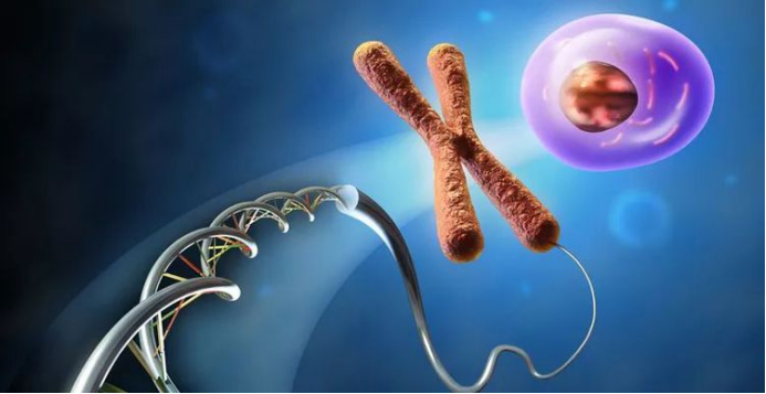 爱因斯坦 如果地球只剩下一男一女，多久后才能诞生文明？人类要开始警惕了