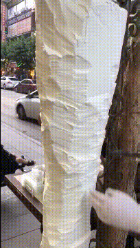  “北大石狮子被人偷袭砍成重伤！到底是何人所为？”