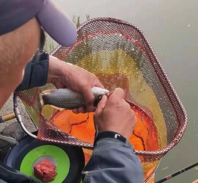 原神|野钓还被人打闭口？惹不起还躲不起，听我一句劝“溜吧”