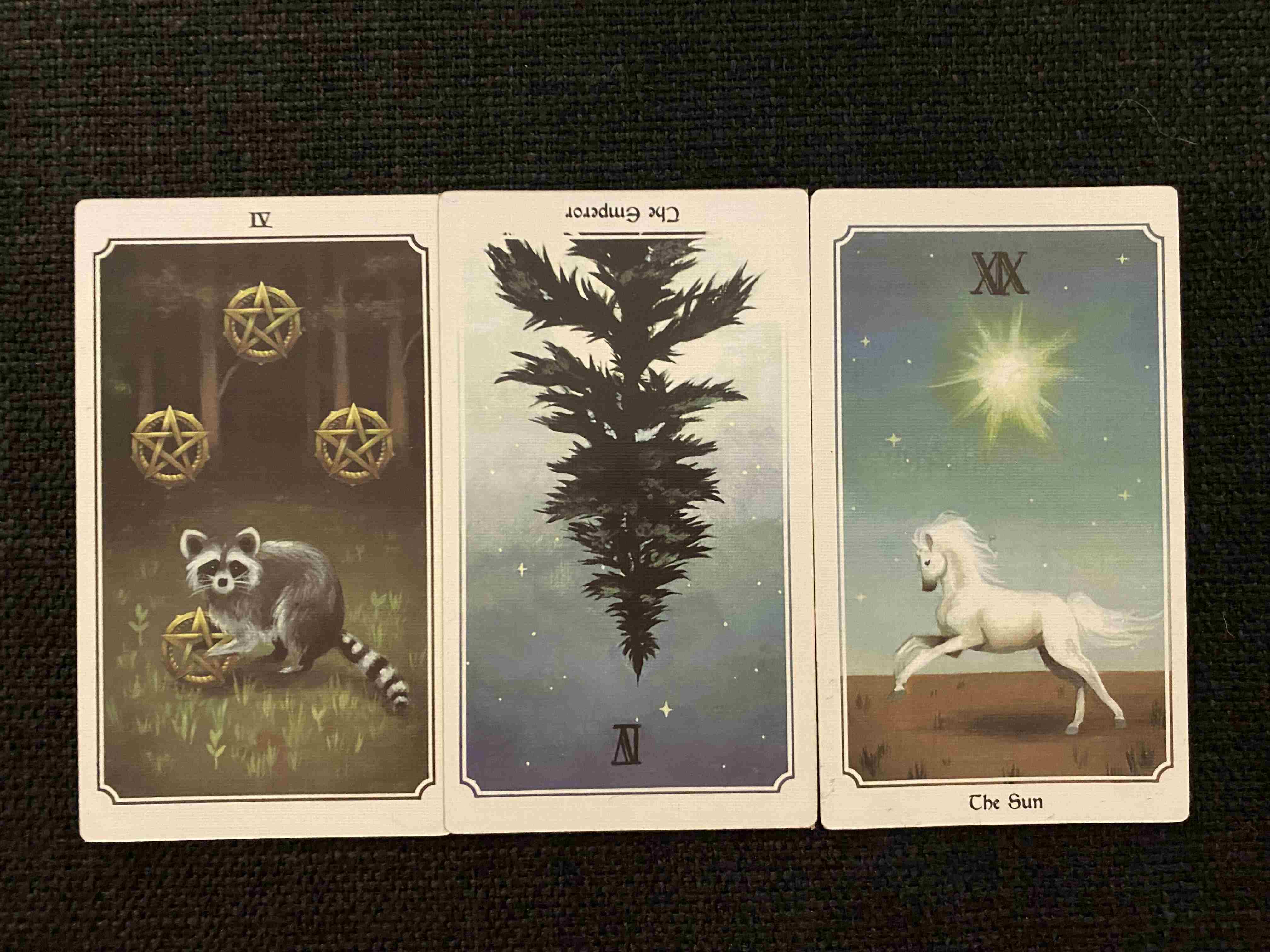 莫莫塔罗|莫莫塔罗，双子座秋季运势：忘记伤害，投入对方怀抱