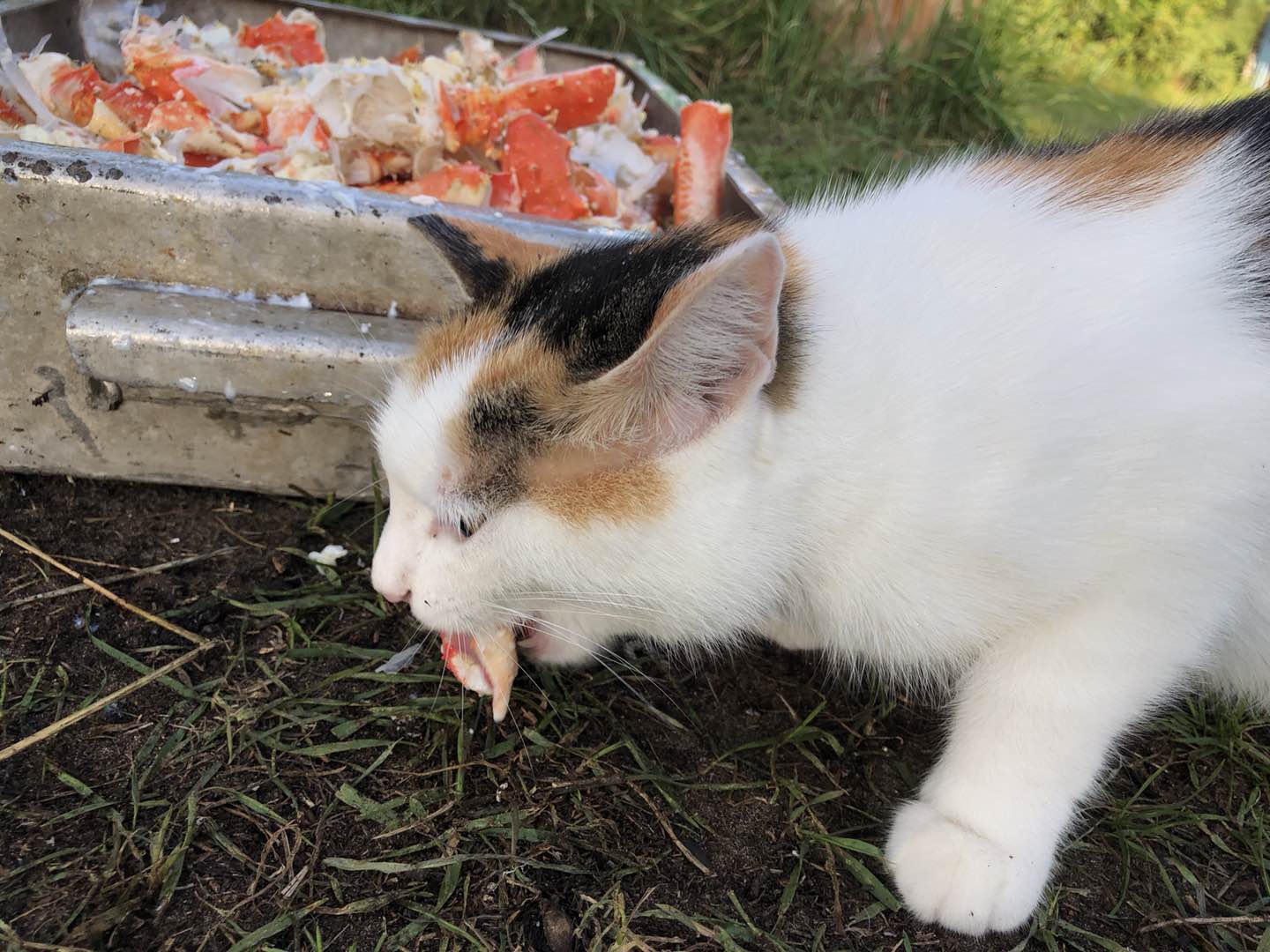 |2万元环游世界系列：这地方是吃货胜地，钓者天堂，关键去还方便