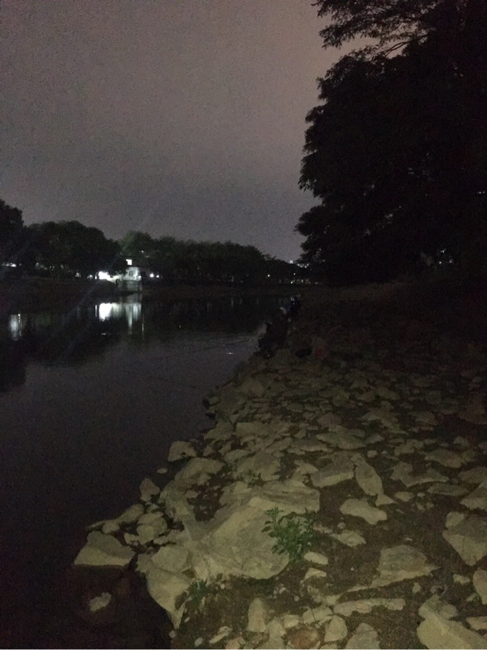 饵料|2021-35#天气晴好，夜钓参军