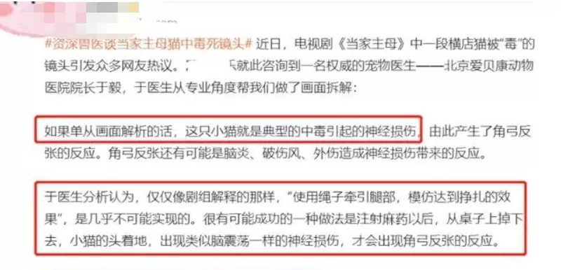 罗生门|知名导演深陷虐待丑闻，全网索要“原始视频”：果然又是他！