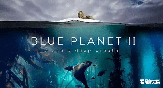 春晚|这部播放达八千多万的“国产真人秀”纪录片节目，你看过吗！？