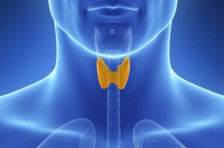 土豆|“甲状腺癌”来临前，身体会发送这3个“信号”，可惜多数人没当回事