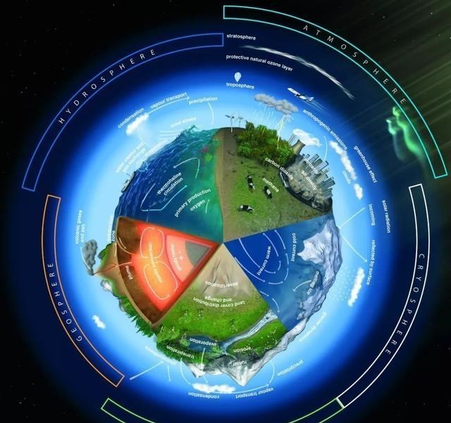 野生动物 为什么地球选择了碳基生命,而非硅基生命?宇宙中存在硅基生命吗