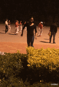 小叶娱记|神回复:能不能25退休,退到55再回来上班?