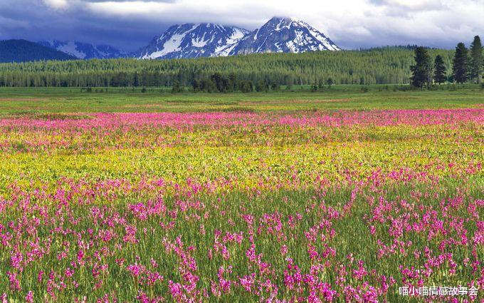 喵小喵情感故事会|一个神奇的包裹,叫“齐天大圣”,让齐老太感慨万千